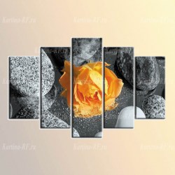 Модульная картина Желтая роза в камнях