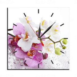 Модульная картина Белая и пятнистая орхидея
