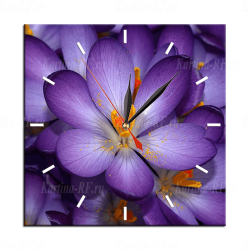 Модульная картина Красивый цветок