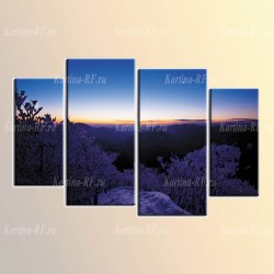 X3509_L