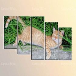 X5384_O